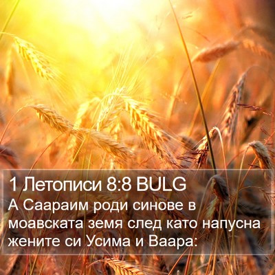 1 Летописи 8:8 BULG Bible Verse Image