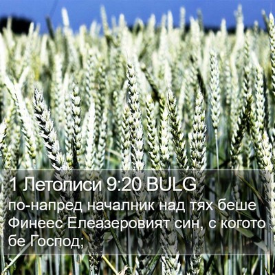 1 Летописи 9:20 BULG Bible Verse Image