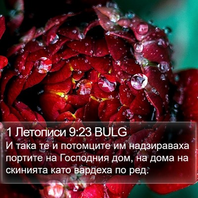1 Летописи 9:23 BULG Bible Verse Image