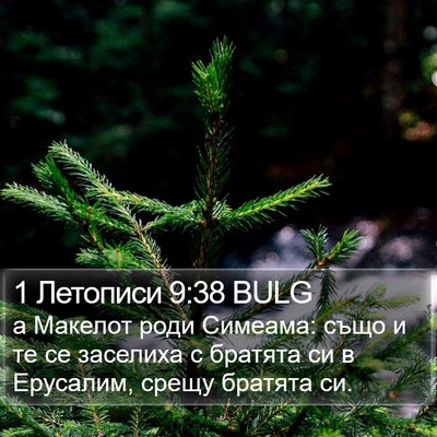1 Летописи 9:38 BULG Bible Verse Image