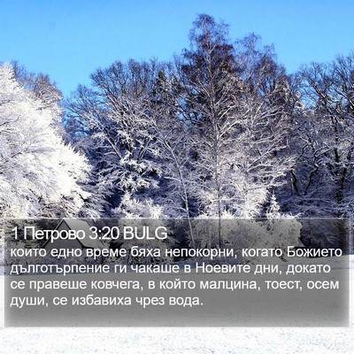 1 Петрово 3:20 BULG Bible Verse Image