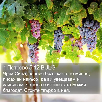 1 Петрово 5:12 BULG Bible Verse Image