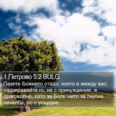 1 Петрово 5:2 BULG Bible Verse Image