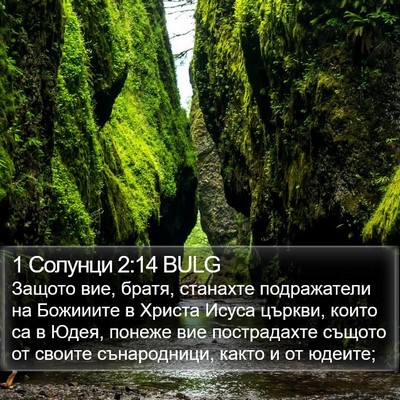 1 Солунци 2:14 BULG Bible Verse Image