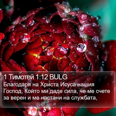 1 Тимотей 1:12 BULG Bible Verse Image
