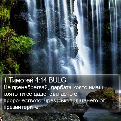 1 Тимотей 4:14 BULG Bible Verse Image
