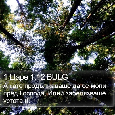 1 Царе 1:12 BULG Bible Verse Image