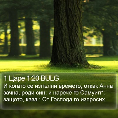 1 Царе 1:20 BULG Bible Verse Image