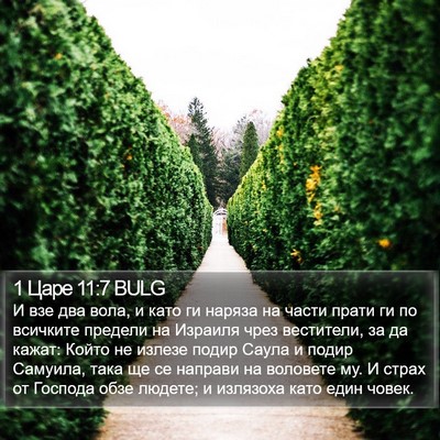 1 Царе 11:7 BULG Bible Verse Image