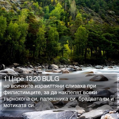 1 Царе 13:20 BULG Bible Verse Image