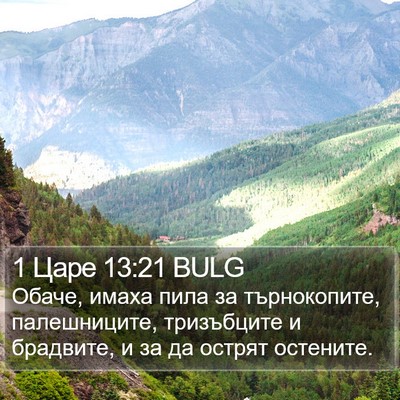 1 Царе 13:21 BULG Bible Verse Image