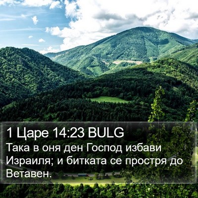 1 Царе 14:23 BULG Bible Verse Image