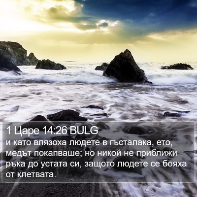 1 Царе 14:26 BULG Bible Verse Image