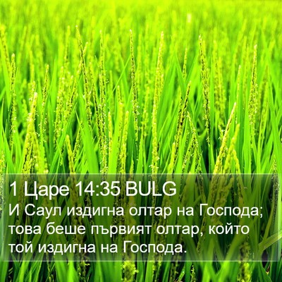1 Царе 14:35 BULG Bible Verse Image