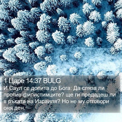 1 Царе 14:37 BULG Bible Verse Image
