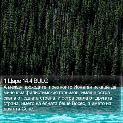 1 Царе 14:4 BULG Bible Verse Image
