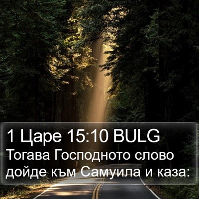 1 Царе 15:10 BULG Bible Verse Image