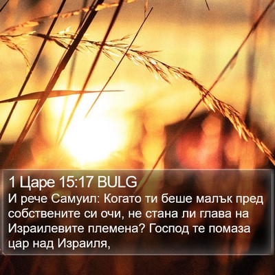 1 Царе 15:17 BULG Bible Verse Image