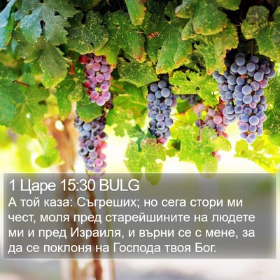 1 Царе 15:30 BULG Bible Verse Image