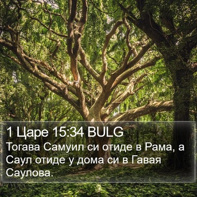 1 Царе 15:34 BULG Bible Verse Image
