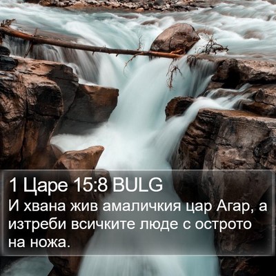 1 Царе 15:8 BULG Bible Verse Image