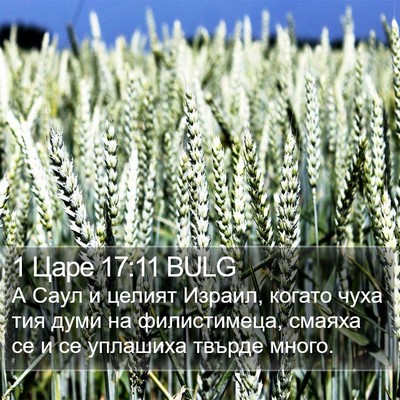 1 Царе 17:11 BULG Bible Verse Image