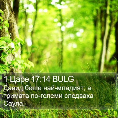 1 Царе 17:14 BULG Bible Verse Image