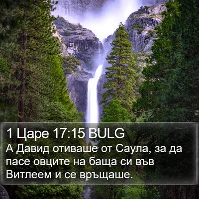 1 Царе 17:15 BULG Bible Verse Image