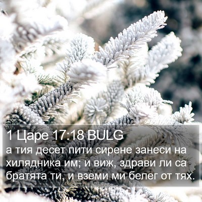 1 Царе 17:18 BULG Bible Verse Image