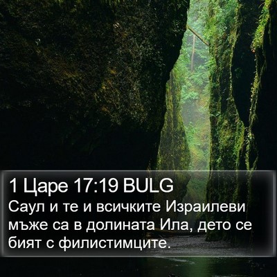 1 Царе 17:19 BULG Bible Verse Image