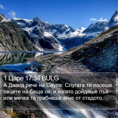 1 Царе 17:34 BULG Bible Verse Image