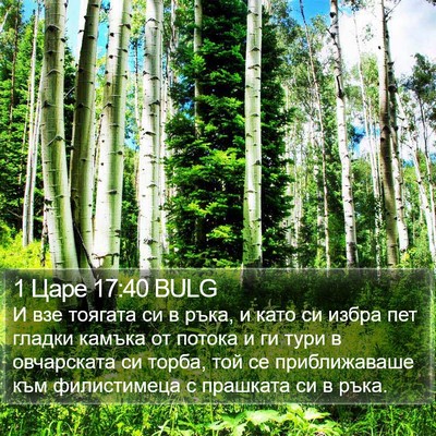 1 Царе 17:40 BULG Bible Verse Image