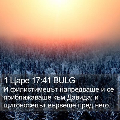 1 Царе 17:41 BULG Bible Verse Image