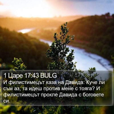 1 Царе 17:43 BULG Bible Verse Image