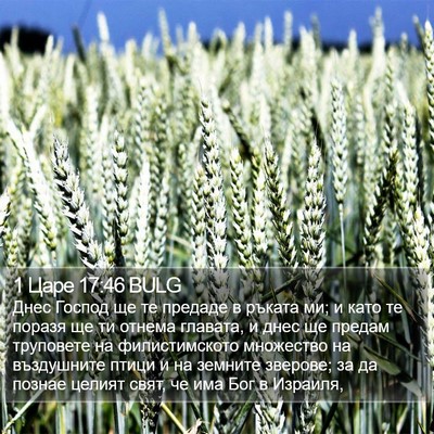 1 Царе 17:46 BULG Bible Verse Image