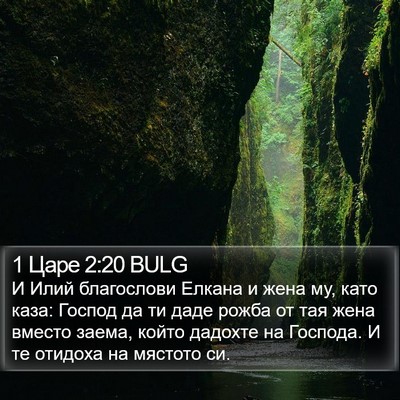1 Царе 2:20 BULG Bible Verse Image