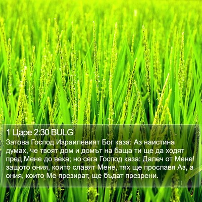 1 Царе 2:30 BULG Bible Verse Image