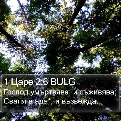1 Царе 2:6 BULG Bible Verse Image