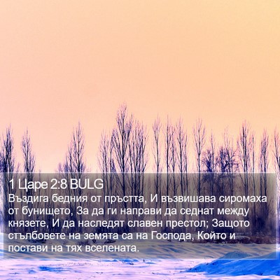 1 Царе 2:8 BULG Bible Verse Image