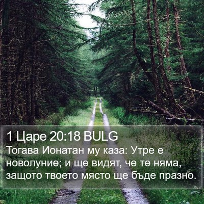 1 Царе 20:18 BULG Bible Verse Image