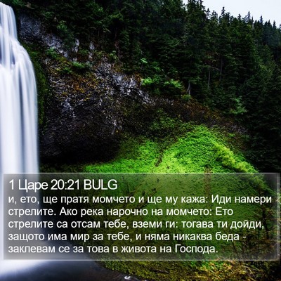1 Царе 20:21 BULG Bible Verse Image