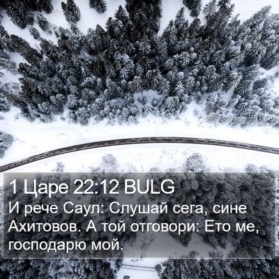 1 Царе 22:12 BULG Bible Verse Image