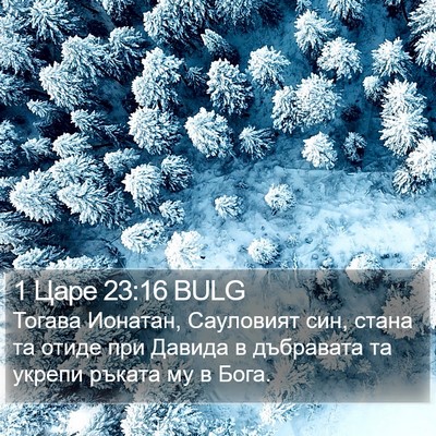 1 Царе 23:16 BULG Bible Verse Image