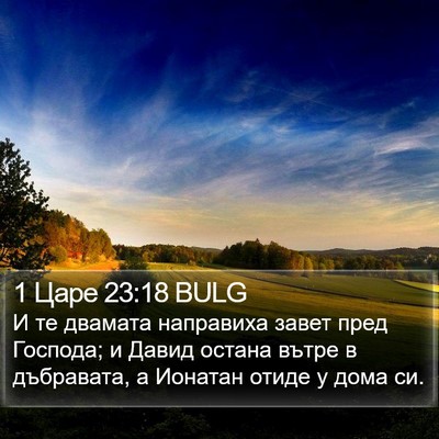 1 Царе 23:18 BULG Bible Verse Image