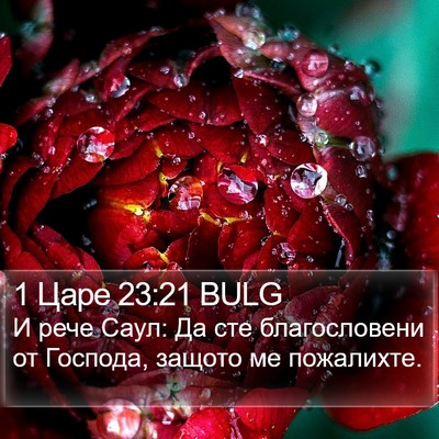 1 Царе 23:21 BULG Bible Verse Image
