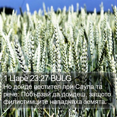 1 Царе 23:27 BULG Bible Verse Image