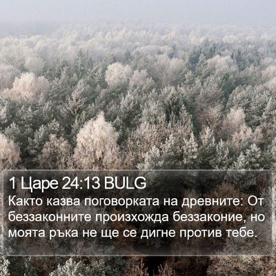 1 Царе 24:13 BULG Bible Verse Image