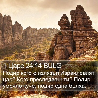 1 Царе 24:14 BULG Bible Verse Image