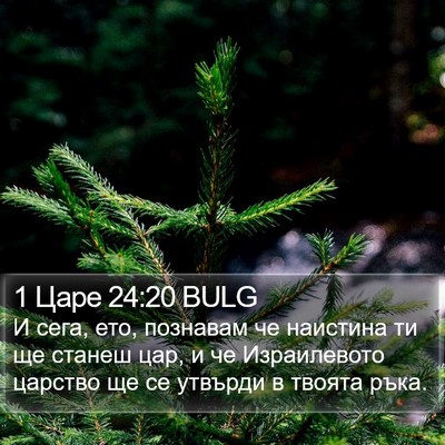 1 Царе 24:20 BULG Bible Verse Image