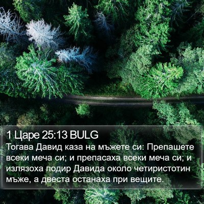 1 Царе 25:13 BULG Bible Verse Image